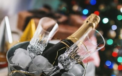 Les Fines Bulles : L’Élégance de la Dégustation
