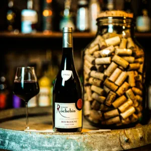 Bourgogne - Domaine de Rochebin « Clos Saint-Germain »