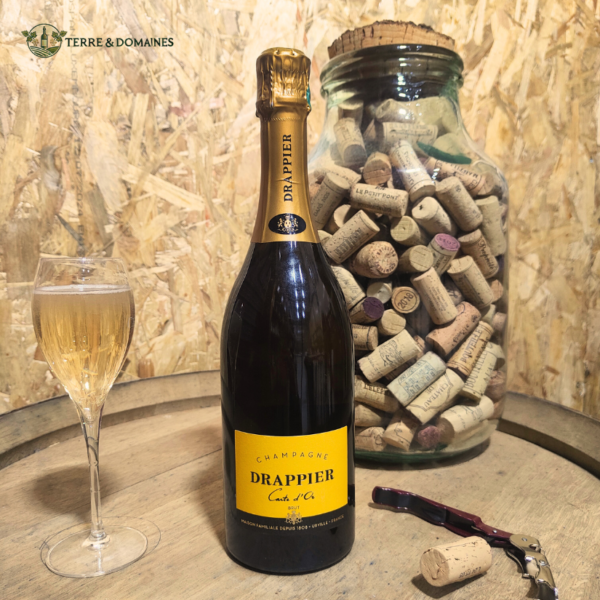 Champagne - Drappier Brut