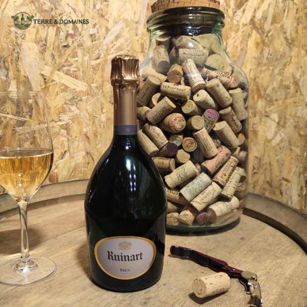 Champagne - Ruinart Brut - Tradition