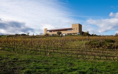 Domaine Stéphane Montez (Domaine du Monteillet) : l’un des joyaux de la Vallée du Rhône