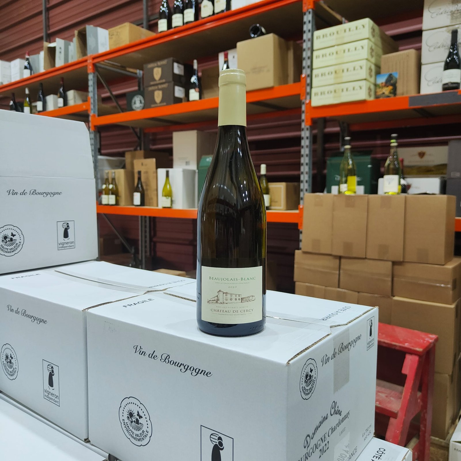 BEAUJOLAIS-BLANC 2020 – CHÂTEAU DE CERCY – Image 2