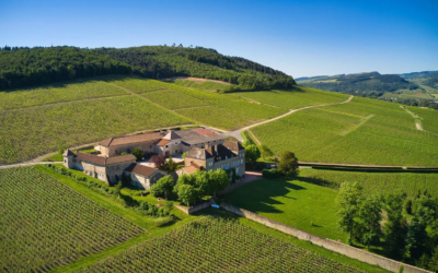 Mâcon-La Roche Vineuse Domaine Chêne : L&rsquo;Excellence du Chardonnay Mâconnais