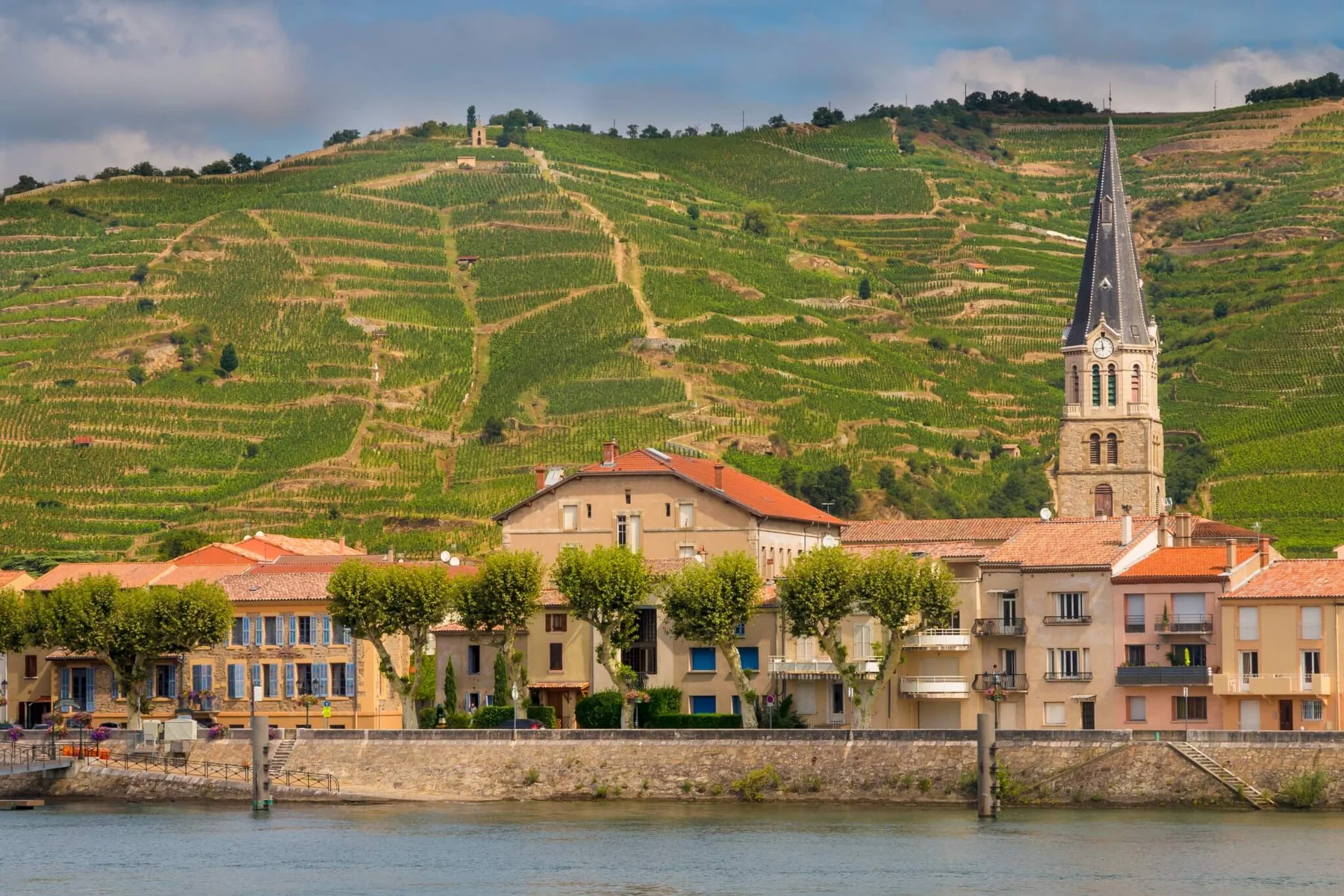 Condrieu blanc Viognier sur coteaux du Rhône Nord