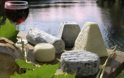 Quel vin avec fromage de chèvre ? Les meilleurs accords vin et fromage